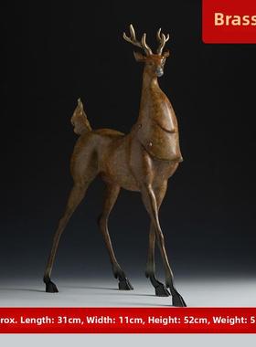 翰GTG98556约缪·尔