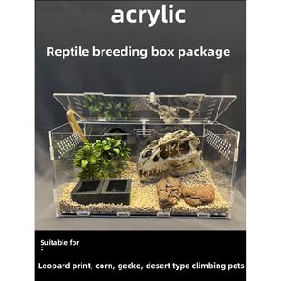 爬行动物宠物爬行动物避免繁殖盒子套装新手懒惰的宠物丙烯酸透气