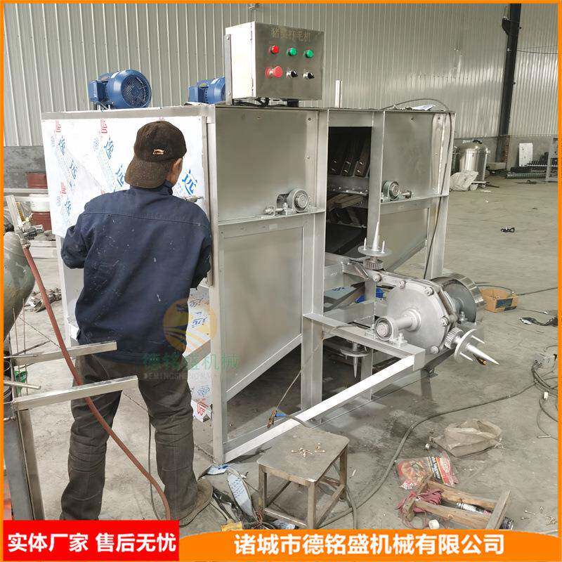 无极调速 链条式猪头打毛机 鲜猪头褪毛机 浸烫后猪头脱毛机