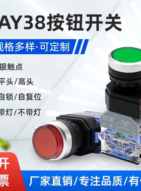按钮开关自锁自复位小型带灯按压式LAY38一开一闭电源按键常开闭