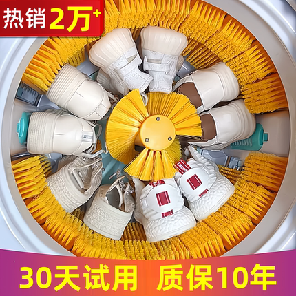 2025新款全壁刷洗鞋机家用小型刷鞋机全自动洗脱烘一体洗衣袜神器