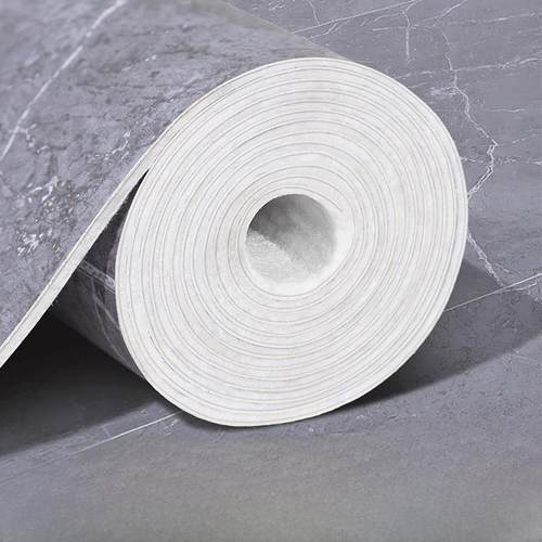 地毯卧室客厅家庭办公室塑料地板阳台房间全覆盖加厚免洗地垫大面