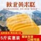 陕北特产黄米糕850g 3袋陕西榆林软糯黄米年糕农家手工油炸枣泥糕