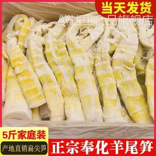 羊尾笋扁尖笋嫩头浙江宁波奉化特产雷笋笋干盐烤笋盐笋2500g