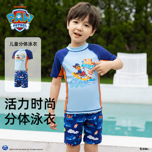 男宝宝泳衣裤 男童泳衣男孩2024新款 儿童分体连体游泳衣海边沙滩裤