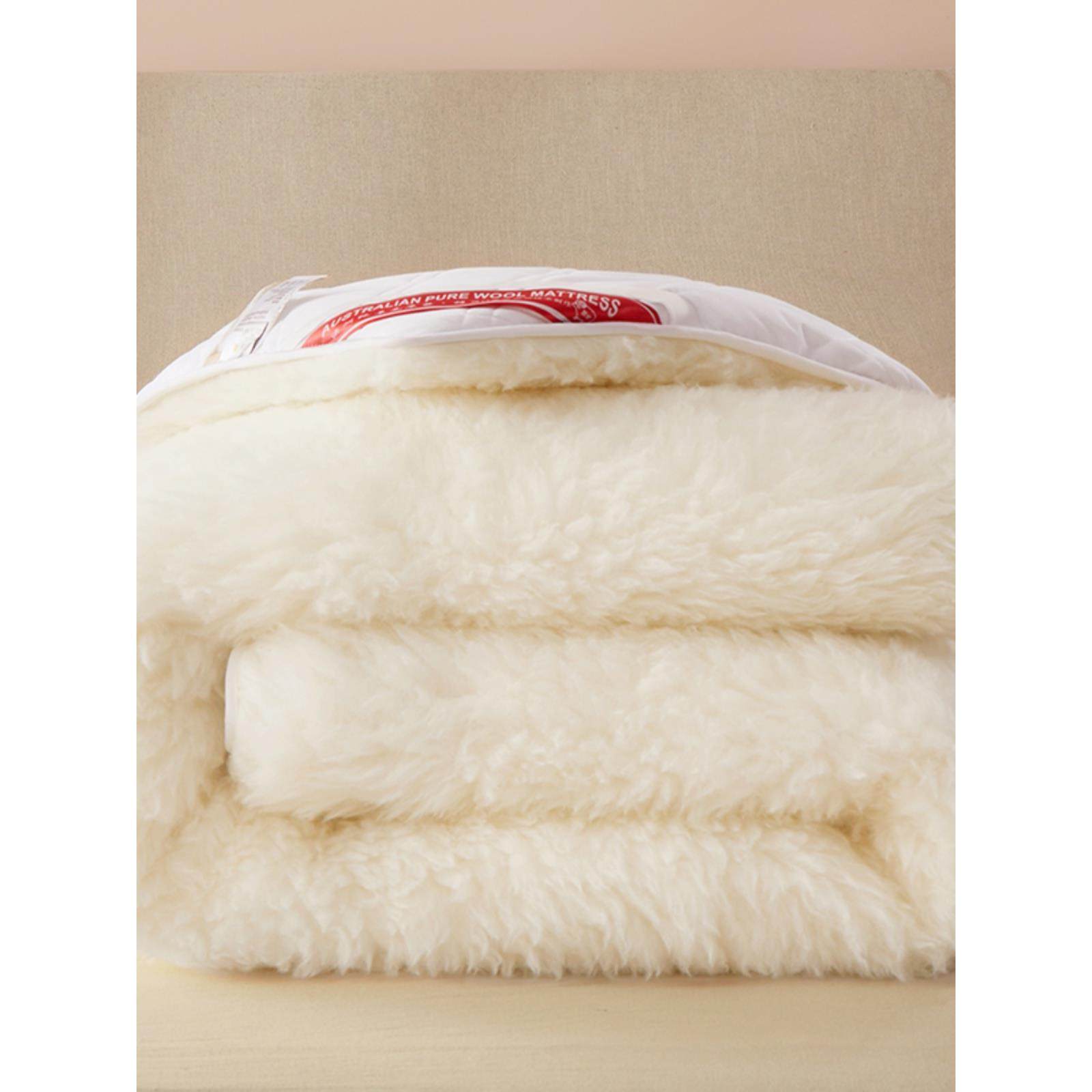 澳洲纯羊毛床垫床褥冬天保暖防潮羊羔绒软垫子可折叠学生双人垫被