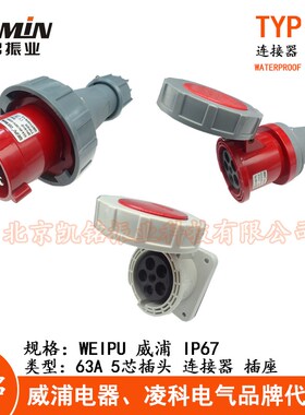 威浦 63A5芯防水工业插头插座连接器TYP675 2924明装暗装活动IP67