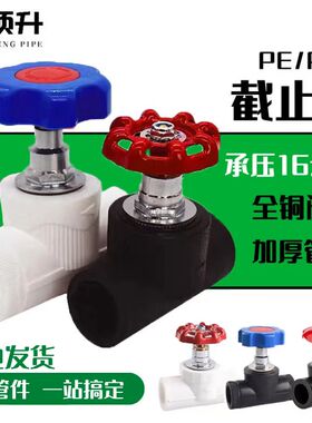 PE升降式截止阀4分20pe水管阀门6分25闸阀开关手柄pe排气管材配件