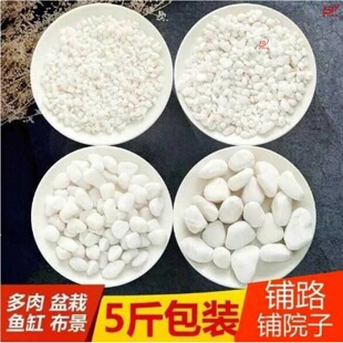 院子碎石铺装饰装修阳台花瓶栽多肉植物花盆放白色里的小石头石子