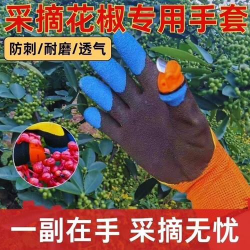 【防刺】豫莱德花椒手套花椒专用指甲刀防刺拇指刀采摘神器
