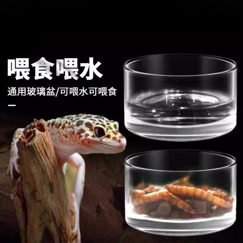 爬虫玻璃水盆高品质实用食盆爬宠蜥蜴守宫陆龟蛇蜘蛛蝎子食碗水碗