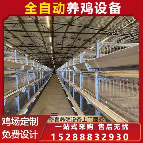 肉鸡笼大型鸡笼 育雏笼养鸡 笼具蛋鸡养殖设备 鸡舍全自动化设备