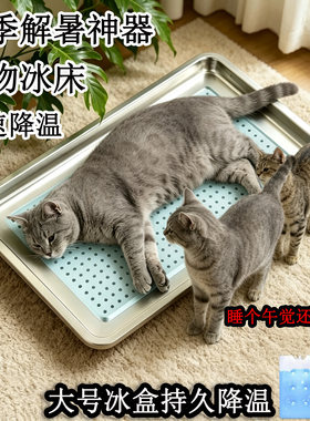 宠物降温神器猫咪仓鼠冰盒解暑冰窝夏天兔子狗狗龙猫散热板不锈钢