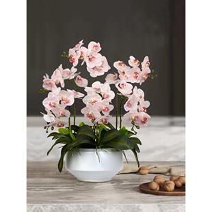 蝴蝶兰人造花高端兰花假花绿色植物盆栽客厅餐桌中国风可及豪华装