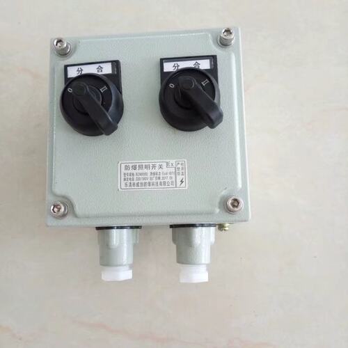 bzm-10防爆照明开关双切防爆旋钮开关铝合金O按钮控制盒操作盒防