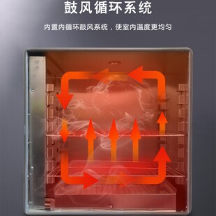 101-3B/4B/2B不锈钢恒温鼓风干燥箱烘箱前后开门大灯对开工业烤箱