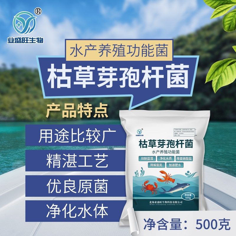水产枯草芽孢杆菌净化水质降解亚硝酸盐肥水降解氨氮除蓝藻