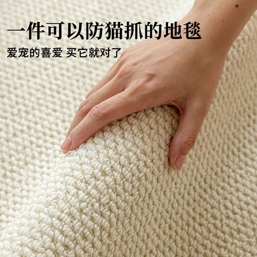 仿剑麻地毯耐磨仿猫抓免洗奶油风客厅地垫摄影棚卧室床边飘窗拍照
