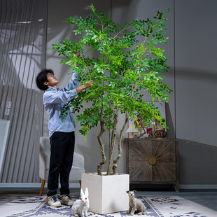 高大型仿真榆钱树室内客厅假树盆栽植物仿生绿植落地花树造景摆件