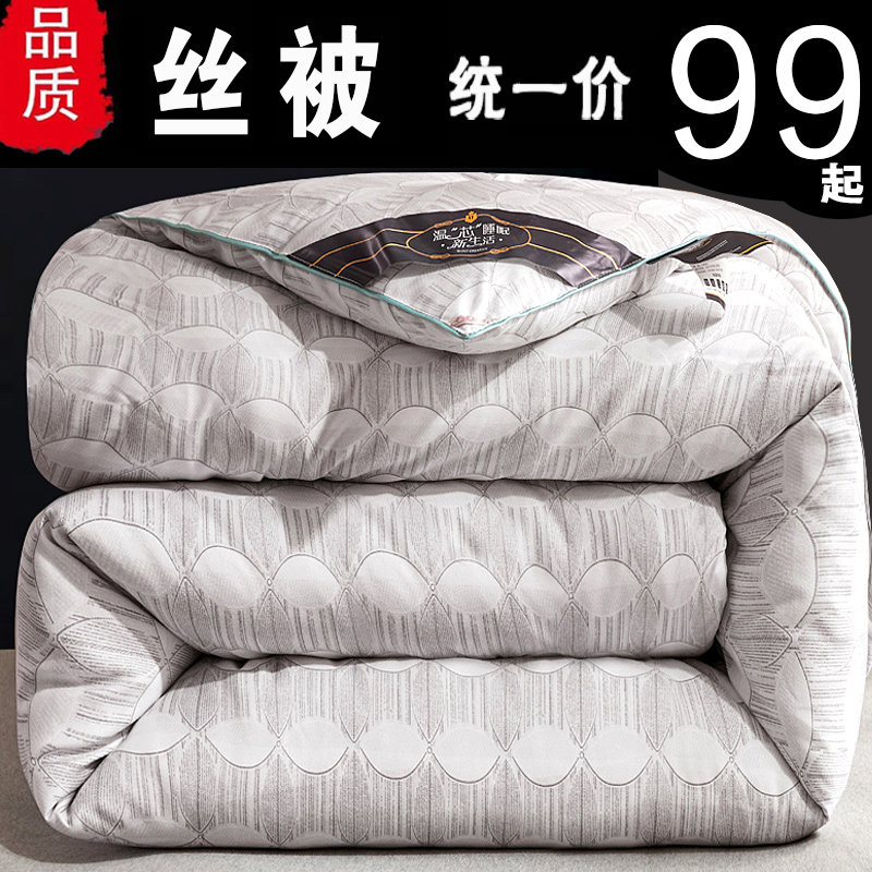 加厚保暖丝棉被芯冬l天冬被双人单人春秋被秋季冬被8/10斤冬季被
