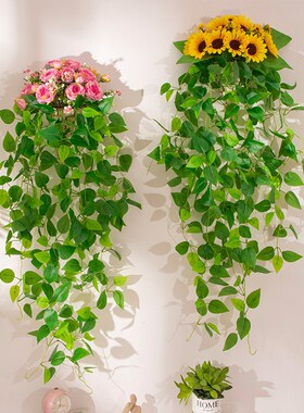 壁挂式绿植装饰花墙壁仿真绿萝挂墙E植物墙面假花客厅藤条花篮挂