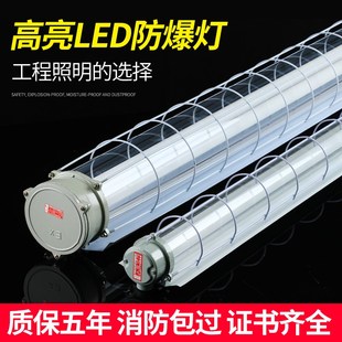 单双管长日光灯隔爆zT8荧光灯仓库厂房车间加油站三防 LED防爆灯