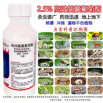 高效氯氟氰菊酯农用杀虫剂大全白菜蔬菜花卉苗蚜虫多肉专用杀虫药