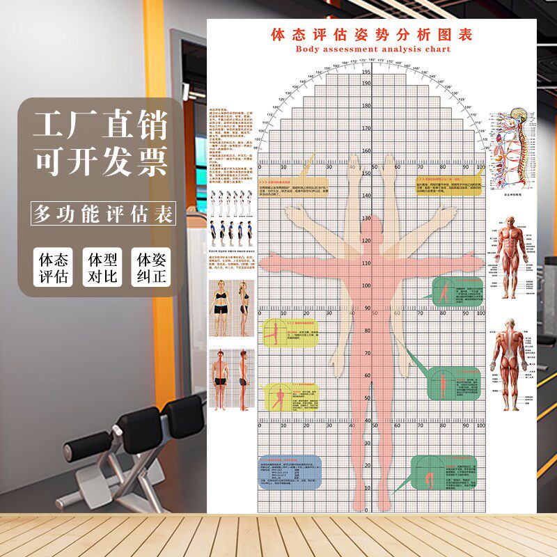 柔韧性测试多功能体态评估表健身房私教人体姿态图墙贴体测表壁画