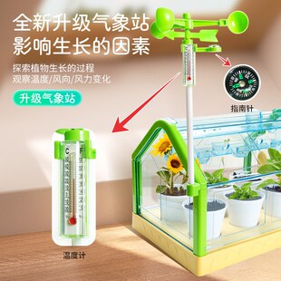 学优马阳光房种植DIY种菜种花观察科学小实验套装幼儿园种菜盆6岁