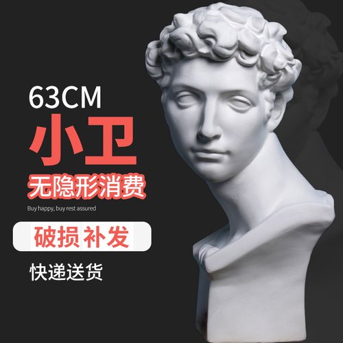 小卫石膏像石膏头像梅i第奇H63CM美术石膏教具素描大号人物模型人