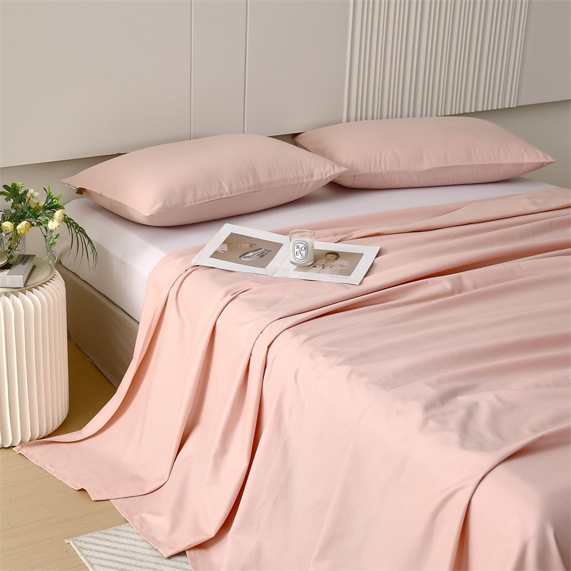 A类全棉100纯棉床单单件2024新款秋冬季加厚磨毛学生宿舍单人被单