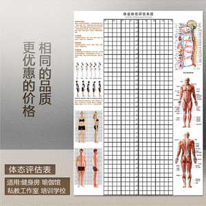 体态评估表体姿体态背景墙健身房瑜伽馆私教体测表身体评估图墙贴