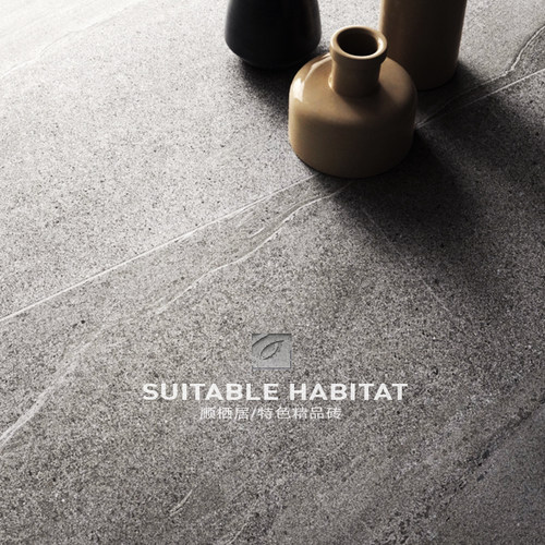 米色哑光大理石水磨石地板砖 磁砖化妆室客厅哑光瓷砖地砖800x800