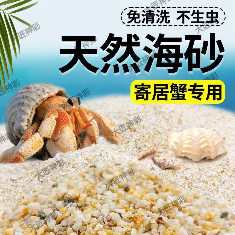 免洗海沙寄居蟹专用沙水草螃蟹底沙石乌龟铺底纯天然流沙鱼缸底砂