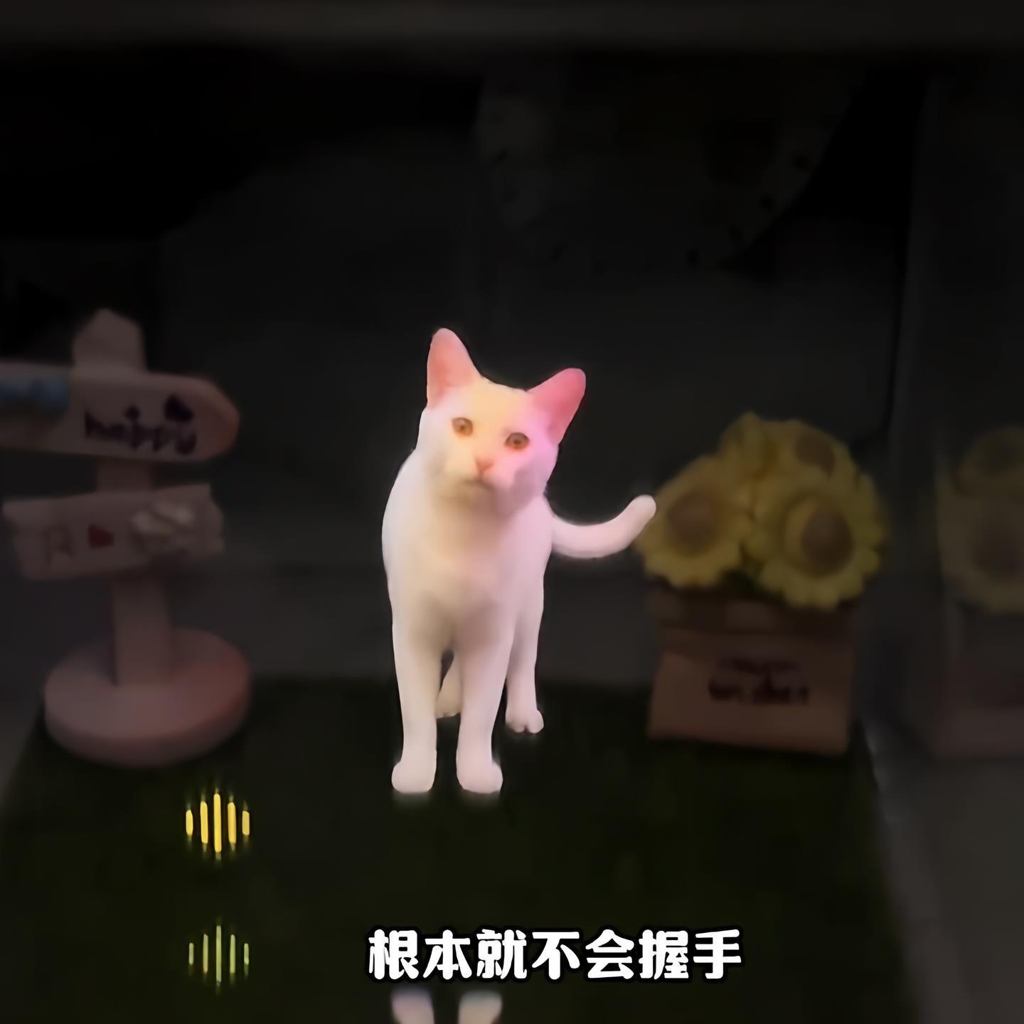 宠物全息数字屋影像互动盒子DIY动物透明投影宠物回忆录手办摆件.