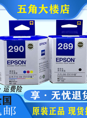 原装爱普生WF-100打印机墨盒 T289黑色 T290彩色 适合wf110打印机