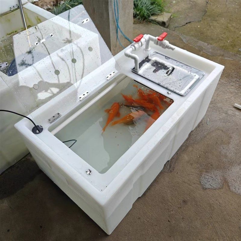 新款饭店餐饮家用食品级水循环过滤养鱼箱车载野钓装鱼密封活鱼桶,婴童用品,摇篮,淘宝优惠券,粉丝福利购,淘宝优惠卷