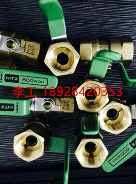 原装日本进口球阀 TK600日本北泽一片式球阀 进口丝口球阀DN3240