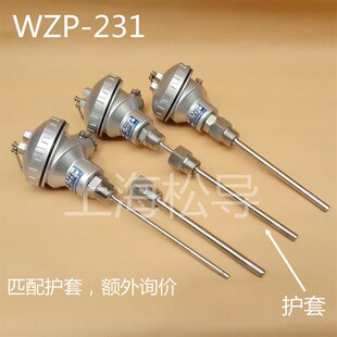 230 231不锈钢温度探头Pt100温度传感器铂热电阻电热偶 130 WZP