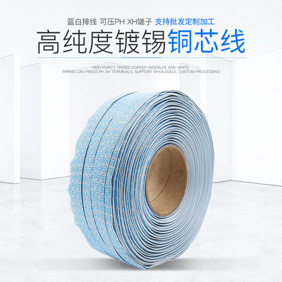 2468排线24AWG蓝白排线红白67891012P环保镀锡铜丝连接线厂家直销