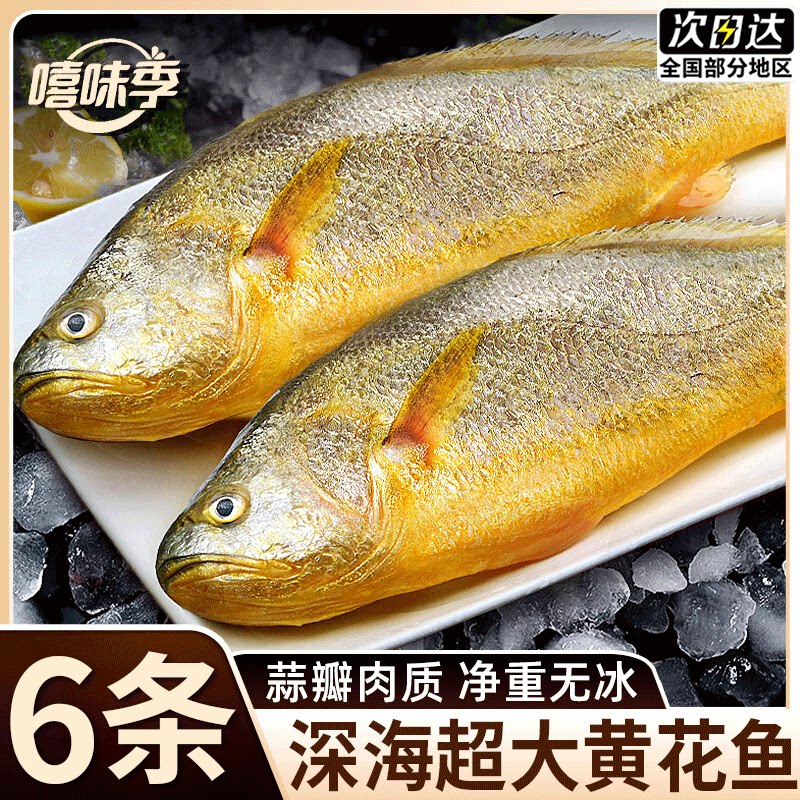 黄鱼鲞新鲜冷冻黄花鱼6条 深海超大野化黄花鱼无添加速冻锁鲜商用