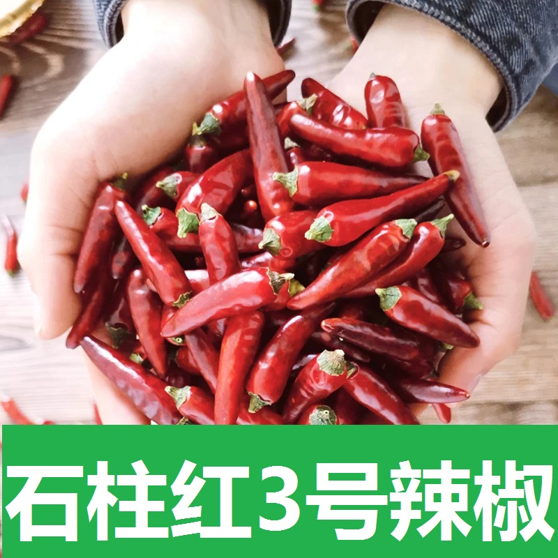 精品石柱红3号重庆火锅用干辣椒