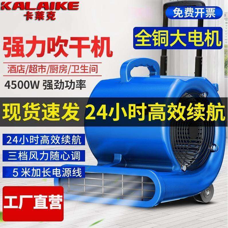 德国进口卡莱克强力吹地机商用烘干酒店手提厕所地板吹干机商场除