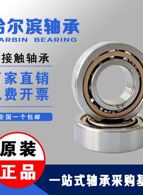 HRB哈尔滨配对轴承7206 7207 7208 7209 7210 7211ACTA/P5 P4 DBB