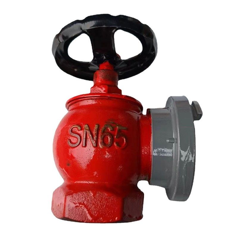 室内消火栓SN65旋转减压稳压水带阀门2.5寸消防器材栓头,橡塑材料及制品,塑料桶/塑料瓶/塑料罐,淘宝优惠券,粉丝福利购,淘宝优惠卷