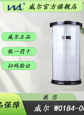 威尔W0184正品FS20190柴油滤芯WG9925550966/1柴滤适配豪沃汕德卡