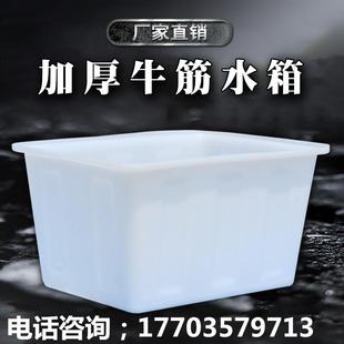 加厚牛筋水箱塑料桶长方形大容量养鱼卖鱼养殖水箱家用储水桶浅盆