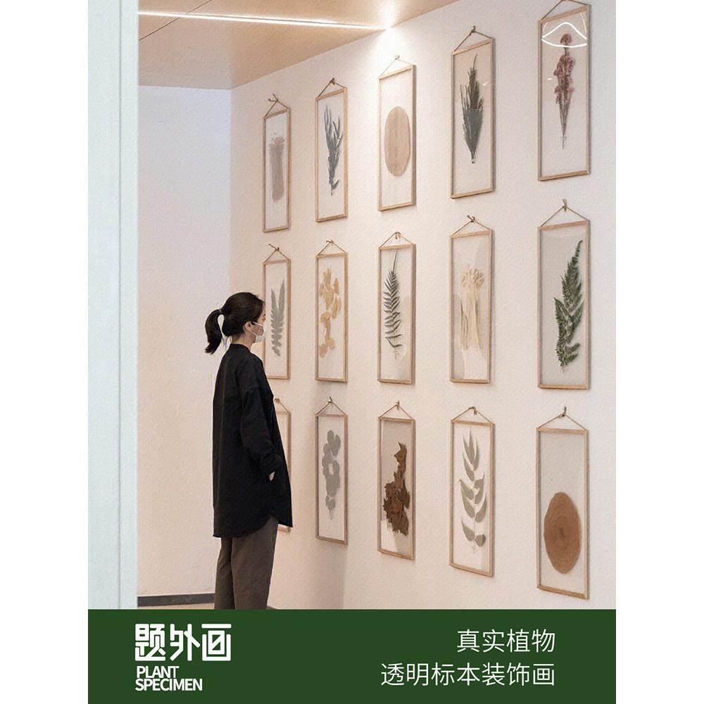 植物标本装饰画树叶教具幼儿园干花胡桃木手作摆件相框手工客厅