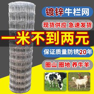 镀锌牛栏网养殖防护隔离网格铁丝网养牛羊钢丝护栏网果园围栏网