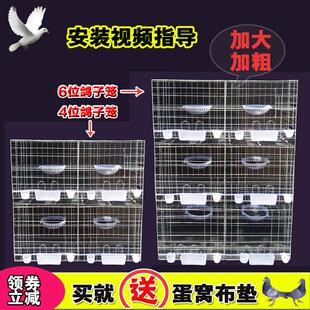 包邮 强晟鸽子笼加粗2位4位6位配对繁殖笼养殖笼巢箱家用阳台鸽笼